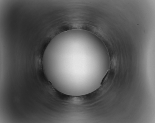 X0000089880522200707121815