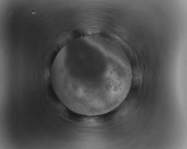 X0000089880523200707121815