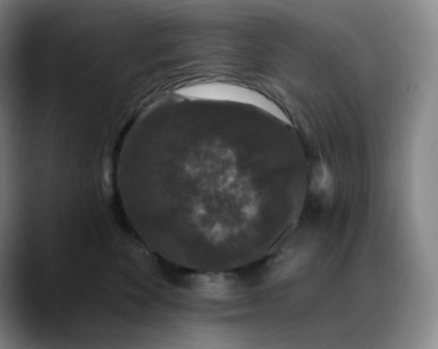 X0000089880524200707121814