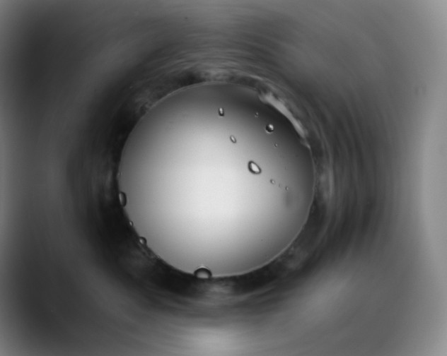 X0000089880525200707121814