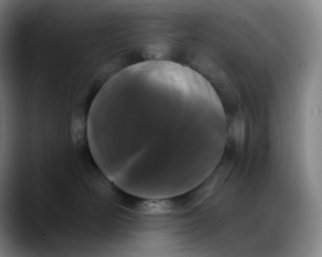 X0000089880526200707121814