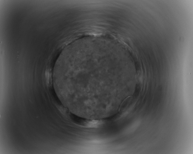 X0000089880527200707121814