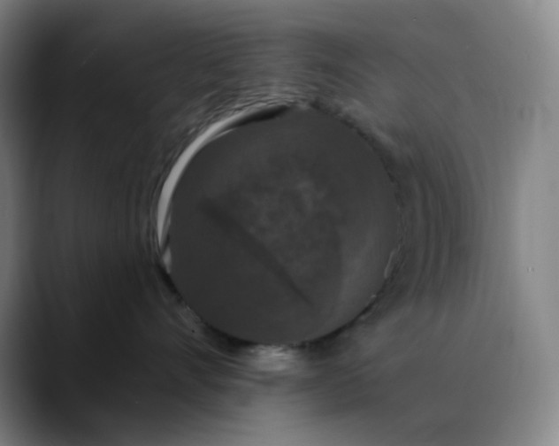 X0000089880528200707121814