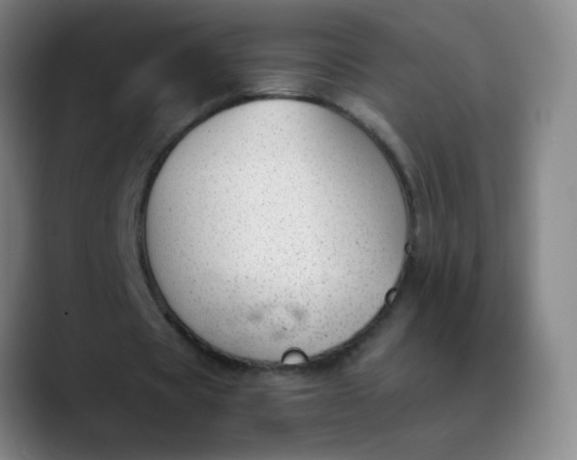 X0000089880529200707121814