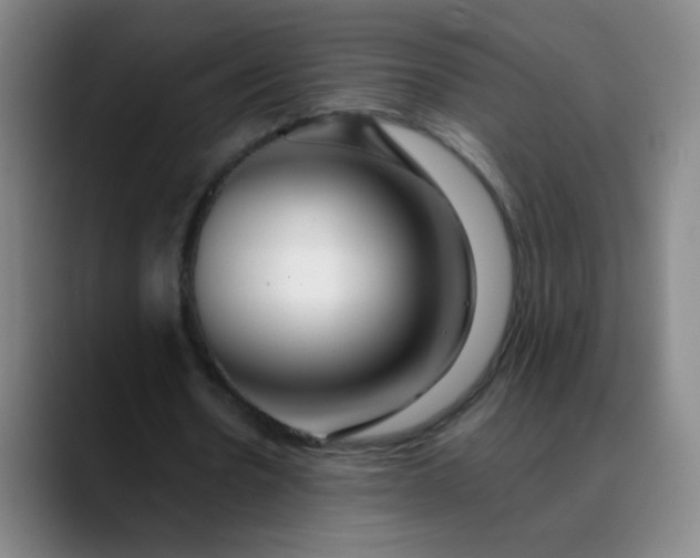 X0000089880530200707121814