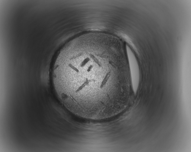 X0000089880531200707121814