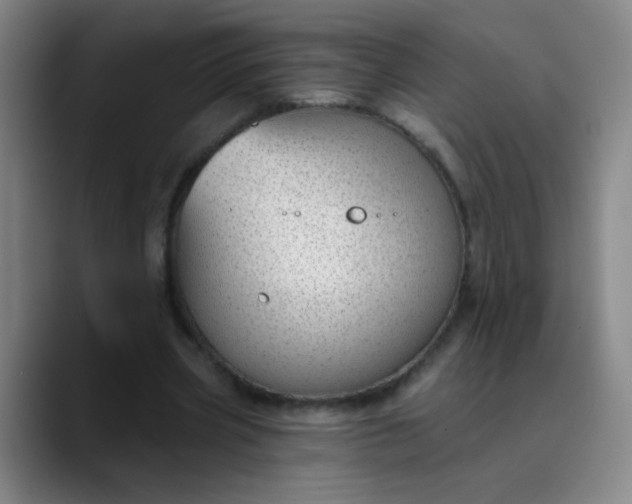 X0000089880533200707121814