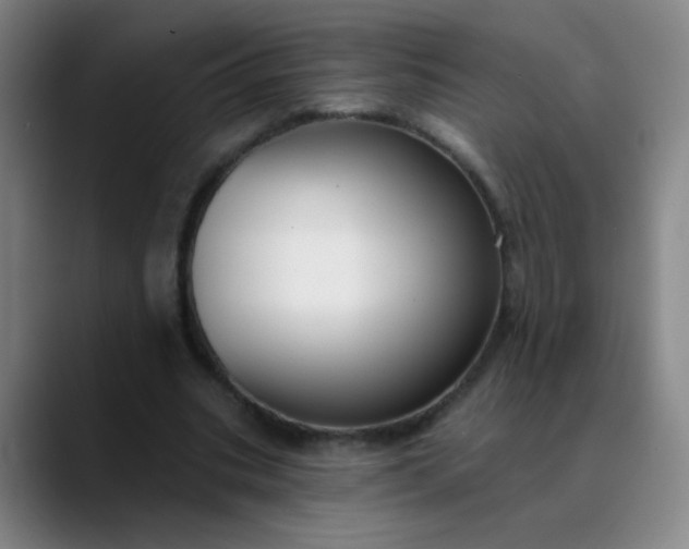 X0000089880535200707121814