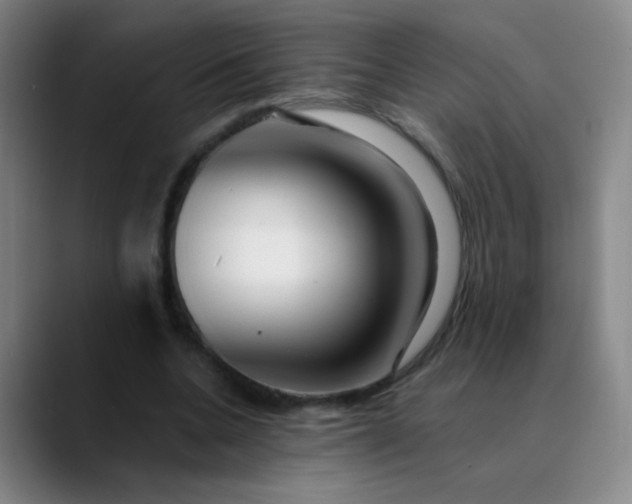 X0000089880536200707121814