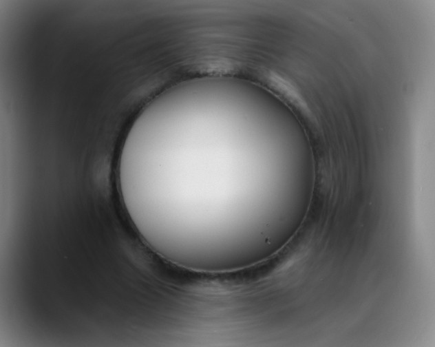 X0000089880538200707121814