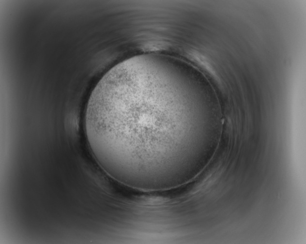 X0000089880539200707121814