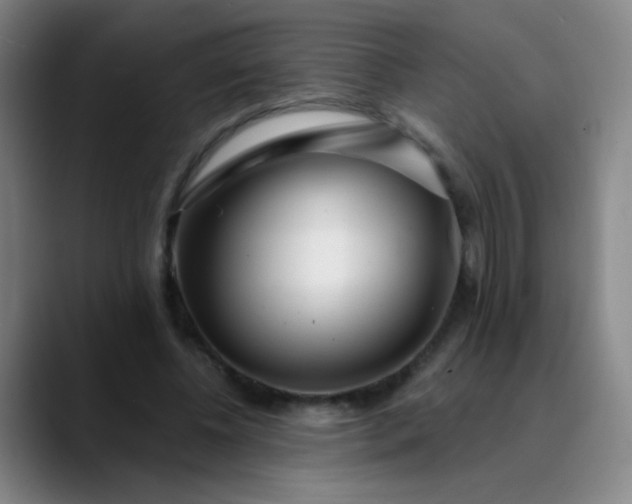 X0000089880540200707121814