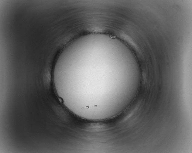 X0000089880541200707121814