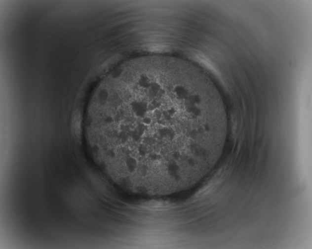 X0000089880542200707121814