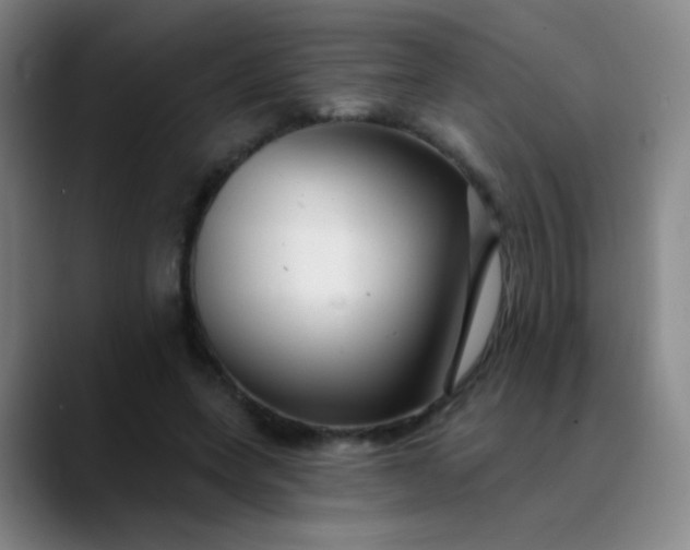 X0000089880543200707121814