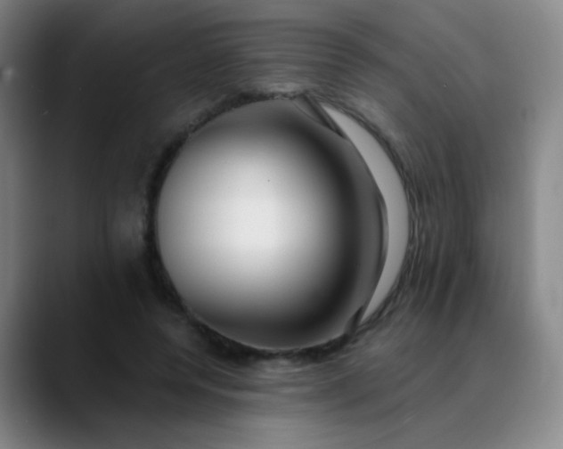 X0000089880544200707121814