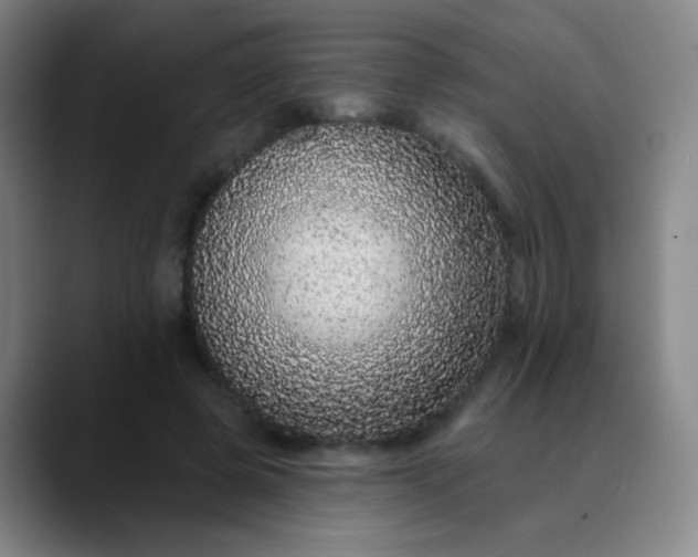 X0000089880545200707121814