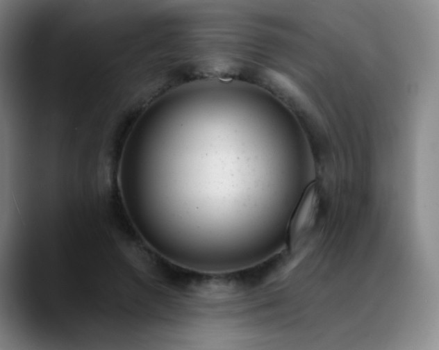 X0000089880546200707121814