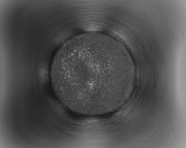 X0000089880547200707121814