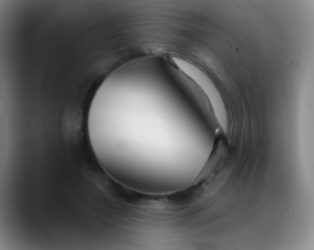 X0000089880548200707121814