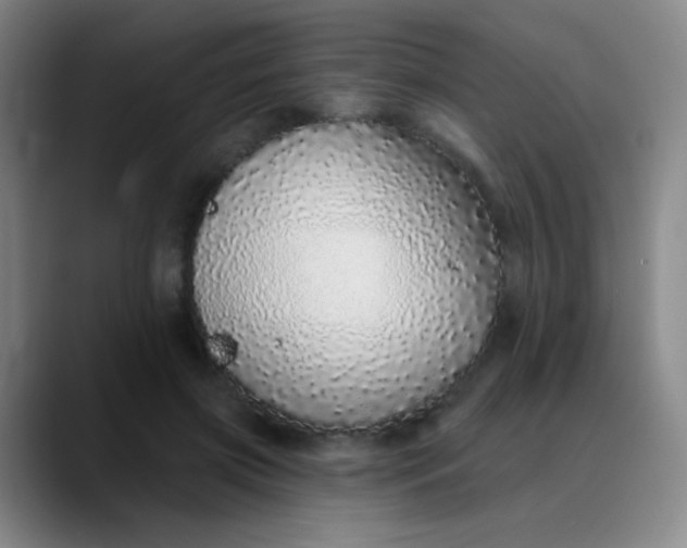 X0000089880549200707121814