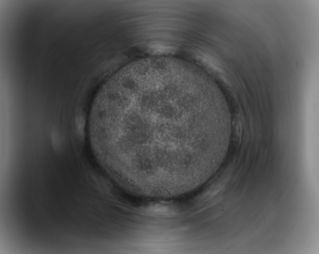 X0000089880550200707121814