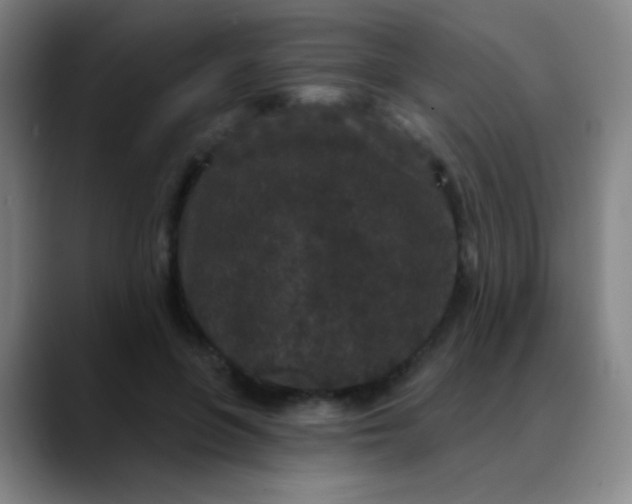 X0000089880551200707121814