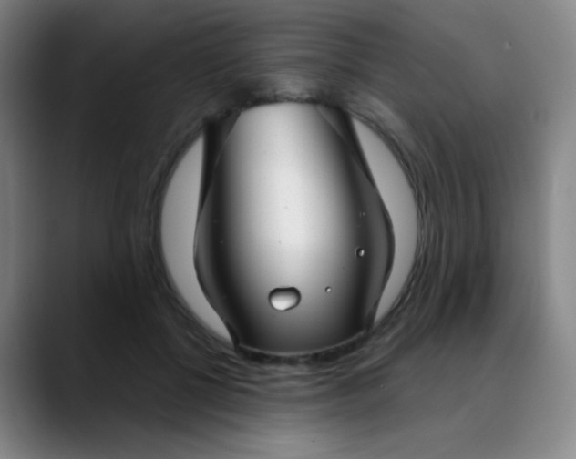 X0000089880552200707121814