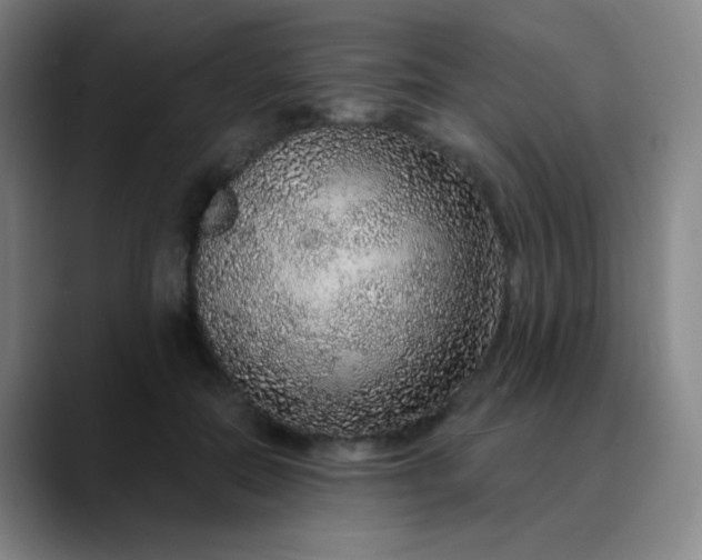 X0000089880554200707121814