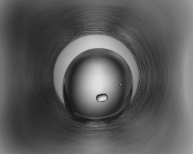 X0000089880556200707121814