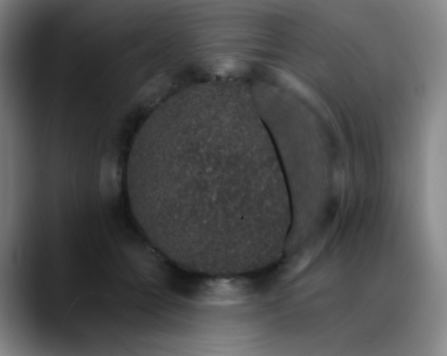 X0000089880558200707121814