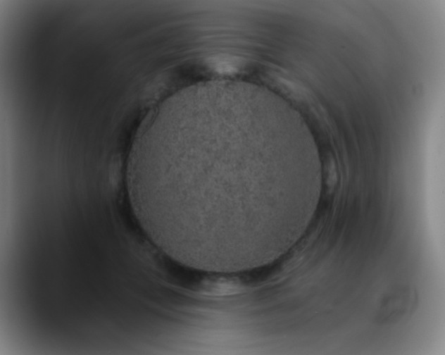 X0000089880559200707121814