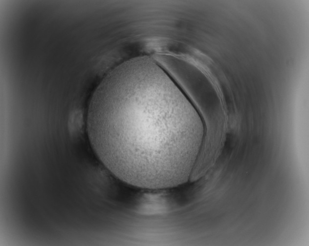 X0000089880560200707121814