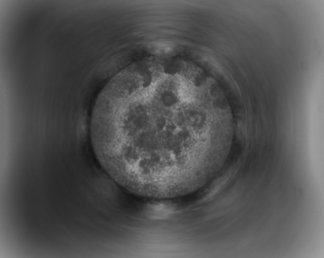 X0000089880561200707121814