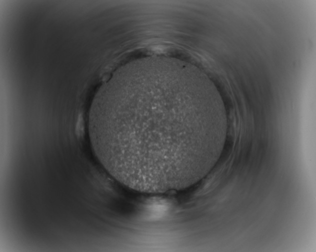 X0000089880562200707121814