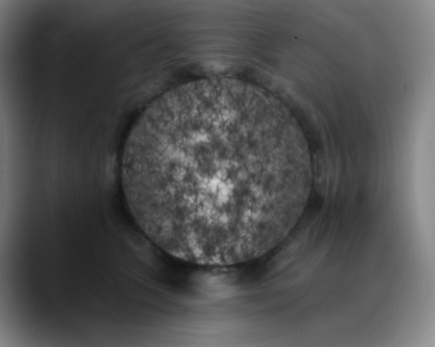 X0000089880563200707121814