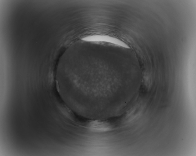 X0000089880568200707121814