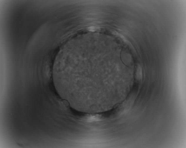 X0000089880569200707121814