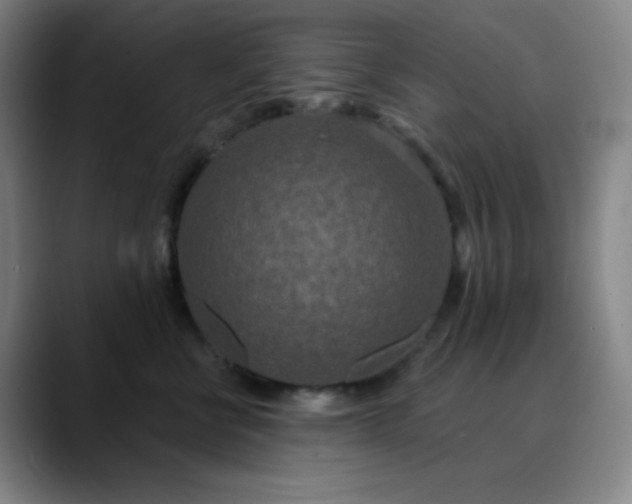 X0000089880570200707121814