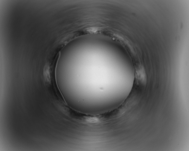 X0000089880572200707121814