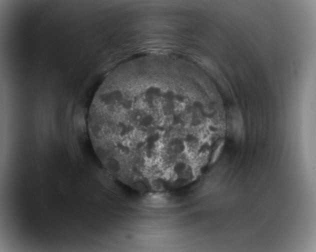 X0000089880573200707121814