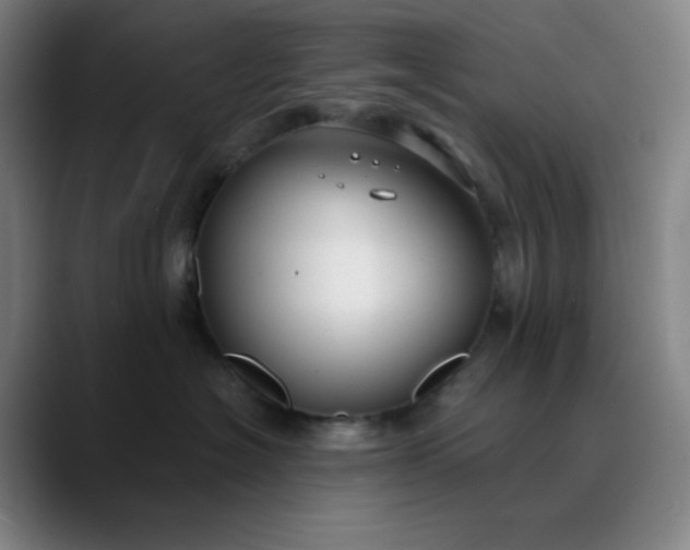 X0000089880574200707121814