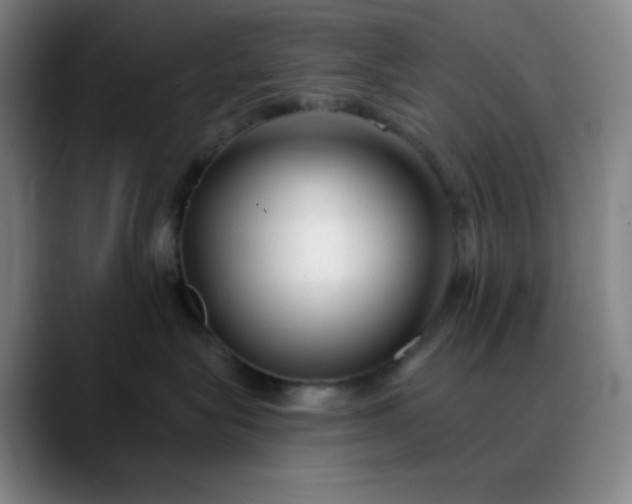 X0000089880575200707121814