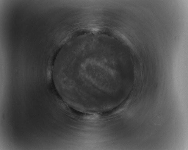 X0000089880576200707121814