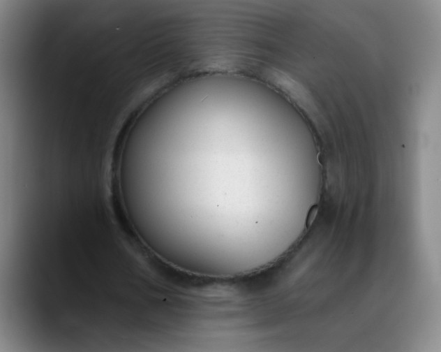 X0000089880578200707121814