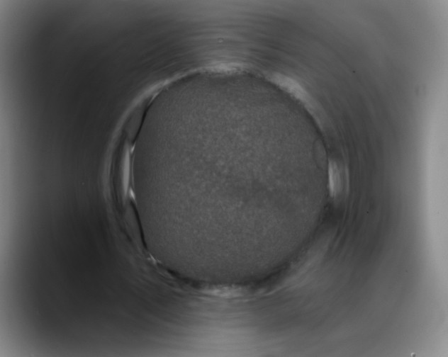 X0000089880579200707121814