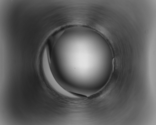 X0000089880580200707121814