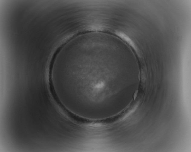 X0000089880581200707121814