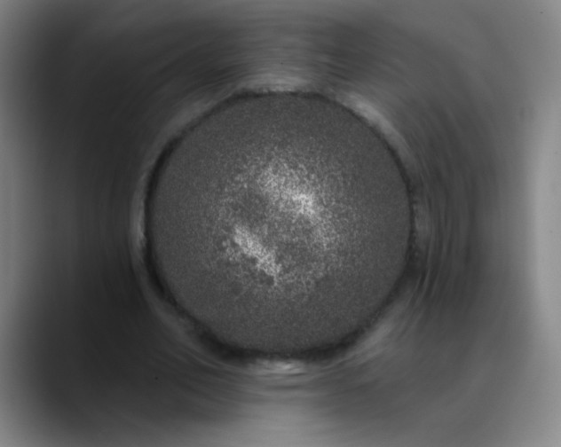 X0000089880582200707121814