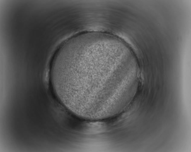 X0000089880583200707121814